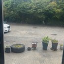 오리대감 이미지