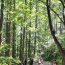 8월17일 (월) 광교산 자락길 이미지