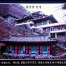 제145차/경남/합천/해인사 소리길(2024.10.18) 이미지