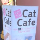 스카이캣명동2호점 이미지