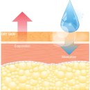 건성(주) | 건성 탄력크림 추천 파메스테틱 공홈 내돈내산 후기 코나피딜 세멘잘크림 (회원가입,추천인 코드)
