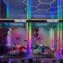 왕오락실 이미지