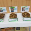 목동 한우농장 이미지