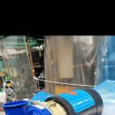 록스기계 이미지