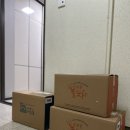 [내돈내산] 그레이트북스 내친구 과학공룡 구매후기 언박싱 구성 @김포현대프리미엄아울렛 만3세 유치원...