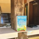 댕댕놀이터 | [김해 /장유] 롯데워터파크에서 강아지들을 위해 준비한 댕댕워터파크 방문후기 +단점