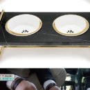 마이펫 부티크 이미지