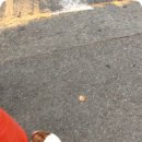 안녕하세요? 야쿠르트 아줌마입니다 이미지