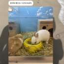 업로드햇심다
