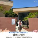 럭키파스타 | 남해 하버스퀘어｜작은 유럽 감성, 때깔로무역 웨이팅부터 럭키웨더젤라또 리얼 후기