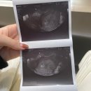 제이엘산부인과의원 이미지