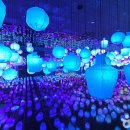 완도 법화사지 이미지