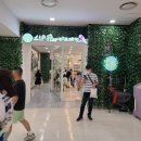 리프패럿 롯데마트 광복점 이미지