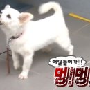 엄마손보리밥 - 서구 | 엄마손보리밥