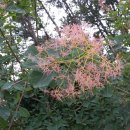 천마여행 이미지