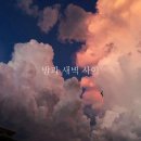 하믄 이미지