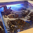 영덕대게횟집 이미지