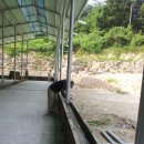 옥천한우농장 이미지