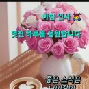 한올한올 이미지