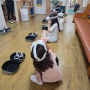 푸른하늘지역아동센터 이미지