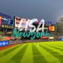 E-스타디움 | 뉴욕 가볼만한곳 양키 스타디움 직관 후기 미국 여행