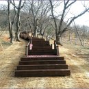 법성포 숲쟁이공원 이미지