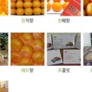 맘농원