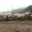 무등파크 골프연습장 이미지