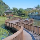 홍 순호 - 정자 - 궁동저수지생태공원 이미지