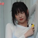 고말숙 카카오 검색결과