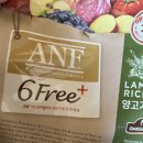 독플러스 | ANF 식스프리플러스 인도어 독 양고기&amp;쌀 체험단 후기
