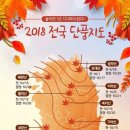 2018 전국 단풍 지도 이미지