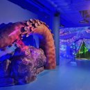 원더파크 이미지