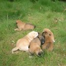 하늘내린강산 이미지