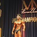 모티브짐 이미지