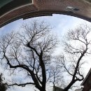 사파동225 이미지