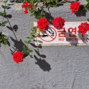 불심 이미지