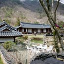 오성비디오 이미지