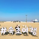 매일관광㈜ | 강원도 속초 여행 아이와 갈만한 곳, 속초아이 대관람차, 속초해수욕장 개장