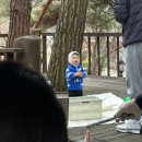 화악산 소나무 리조트(약수집) | [강원 화천] 화천 가족 펜션, <화악산소나무리조트> 화천 훈련소 펜션으로 강추!! (15사단 5분거리...