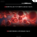 한얼태권도체육관 이미지