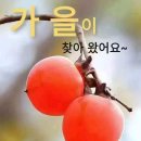 인파크커피