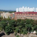 선린대학교 이미지