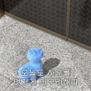 경희대학교 아트퓨전디자인대학원 이미지