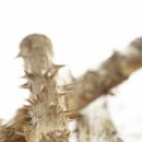 보광한의원 이미지