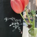 세라캘리 이미지