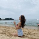 설하윤 카카오 검색결과