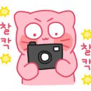 콘타이와꼬란타이 네이버블로그