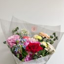 부케바이242 이미지
