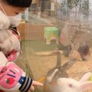 도현목장 이미지